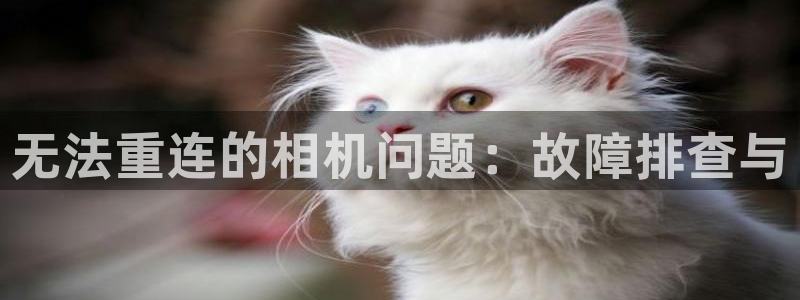天宏娱乐内部32937