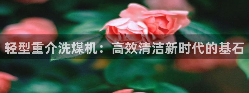 天宏娱乐彩票
