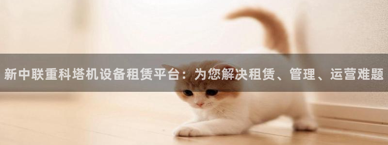 西安天宏娱乐团队招聘