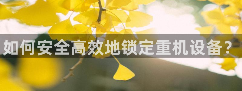 天宏娱乐老秦