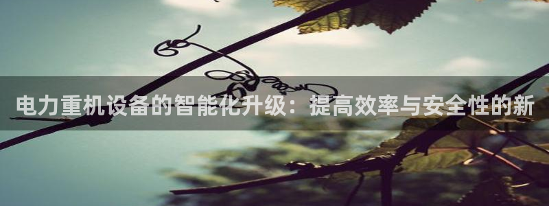 天宏娱乐老男孩文叔：电力重机设备的智能化升级：提高效率与安全