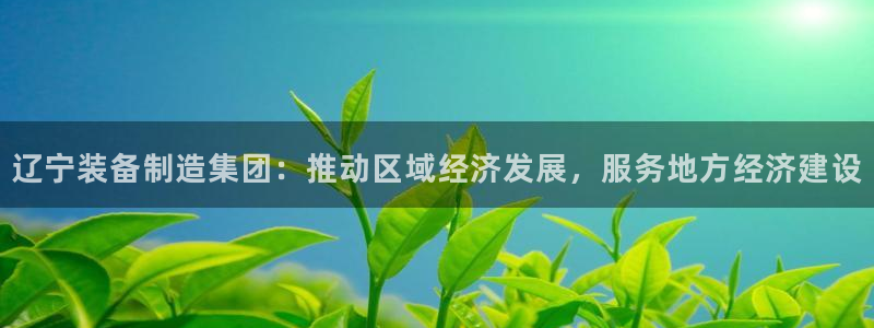 天宏娱乐北北：辽宁装备制造集团：推动区域经济发展，服务地方经
