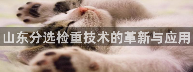 天宏娱乐指尖自：山东分选检重技术的革新与应用