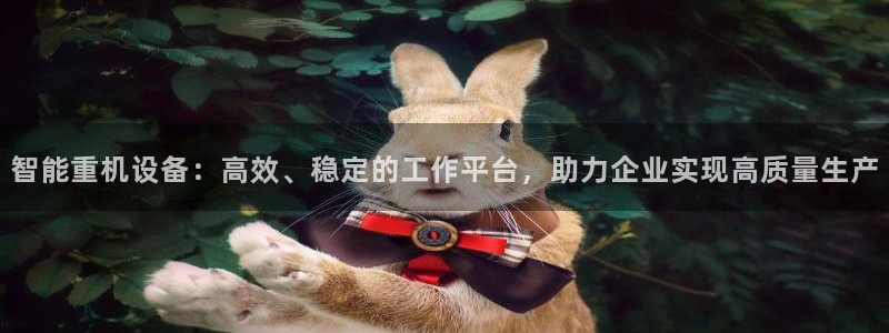 天宏娱乐代理：智能重机设备：高效、稳定的工作平台，助力企业实