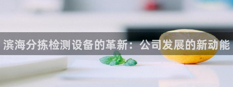 天宏娱乐君叔：滨海分拣检测设备的革新：公司发展的新动能