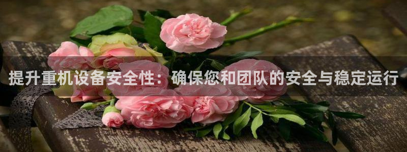 天宏棋牌娱乐：提升重机设备安全性：确保您和团队的安全与稳定运
