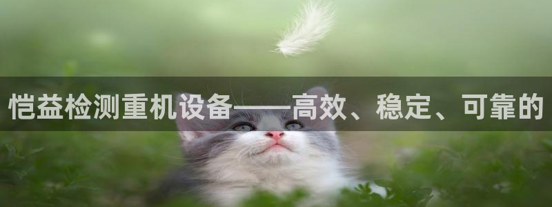 天玺娱乐彩票宏利团队：恺益检测重机设备——高效、稳定、可靠的