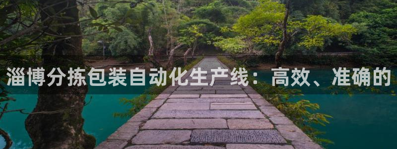 天宏娱乐老板是谁：淄博分拣包装自动化生产线：高效、准确的