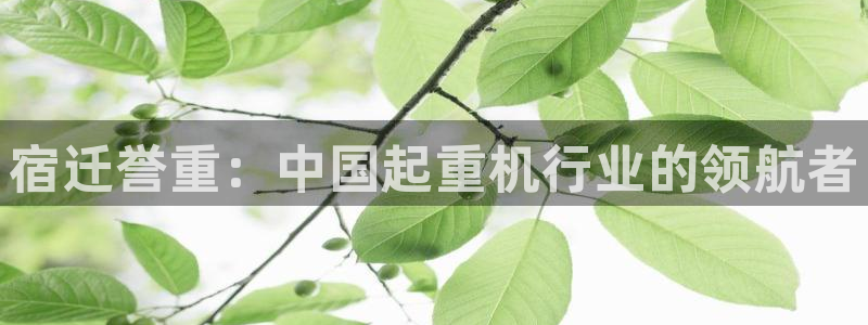 天宏娱乐豆豆：宿迁誉重：中国起重机行业的领航者
