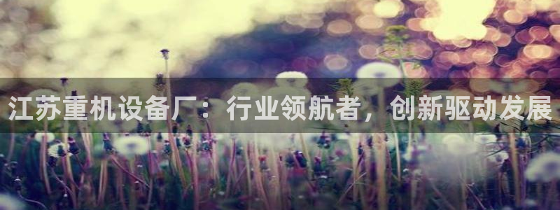 天亿娱乐宏发团队成员
