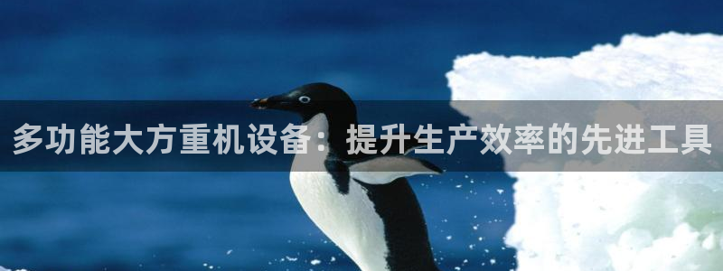 天宏娱乐e OO判官：多功能大方重机设备：提升生产效率的先进