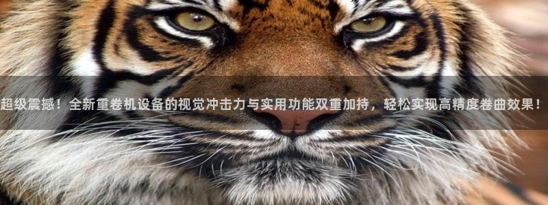 天宏娱乐怎么改号了：超级震撼！全新重卷机设备的视觉冲击力与实