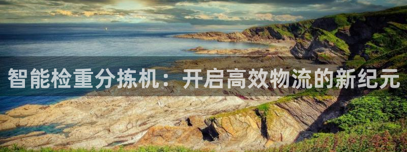 天宏3娱乐：智能检重分拣机：开启高效物流的新纪元
