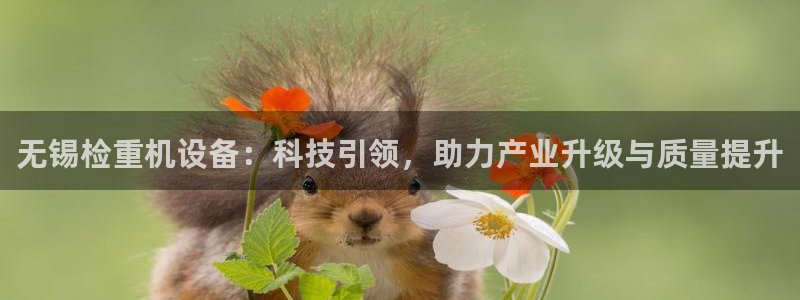 天宏娱乐星空