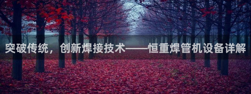 天宏娱乐韩叔视频