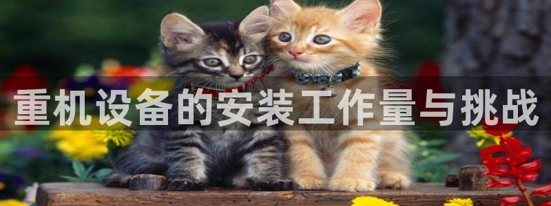 天宏娱乐h 判官：重机设备的安装工作量与挑战