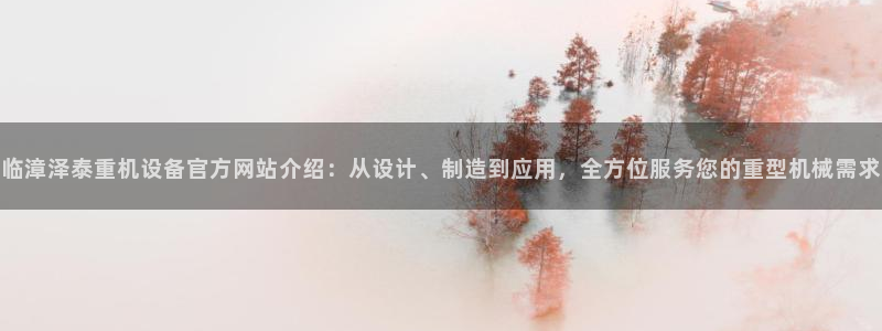 天宏娱乐有明星么：临漳泽泰重机设备官方网站介绍：从设计、制造
