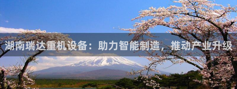 天宏娱乐豆豆团：湖南瑞达重机设备：助力智能制造，推动产业升级