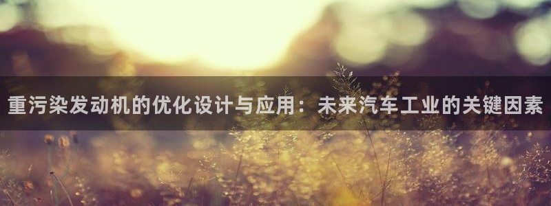 天宏娱乐彬彬叔：重污染发动机的优化设计与应用：未来汽车工业的