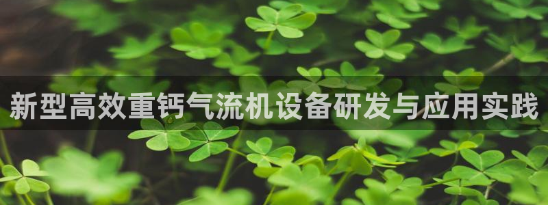 天宏娱乐石叔简介图片：新型高效重钙气流机设备研发与应用实践