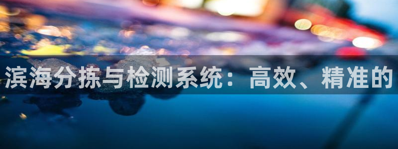 天宏娱乐彬彬叔：滨海分拣与检测系统：高效、精准的