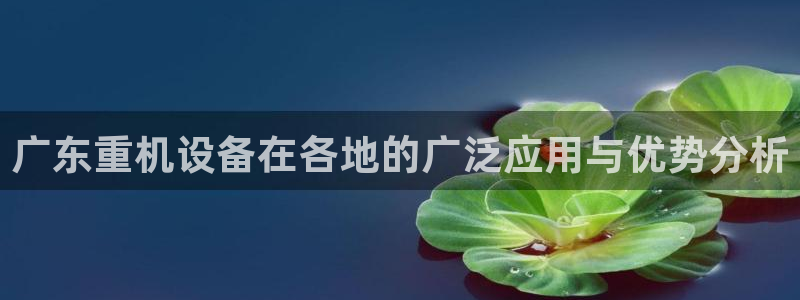 广州宏创天美娱乐文化：广东重机设备在各地的广泛应用与优势分析