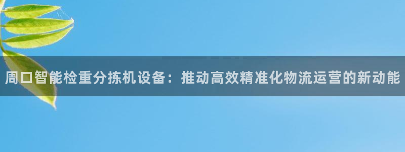 天宏娱乐老男孩团队：周口智能检重分拣机设备：推动高效精准化物