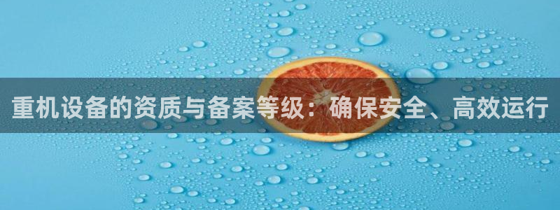 天宏娱乐王总