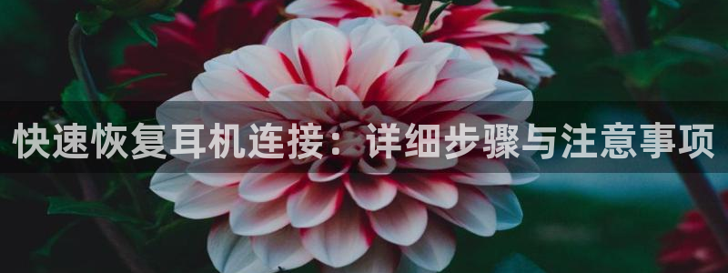 天宏娱乐李叔