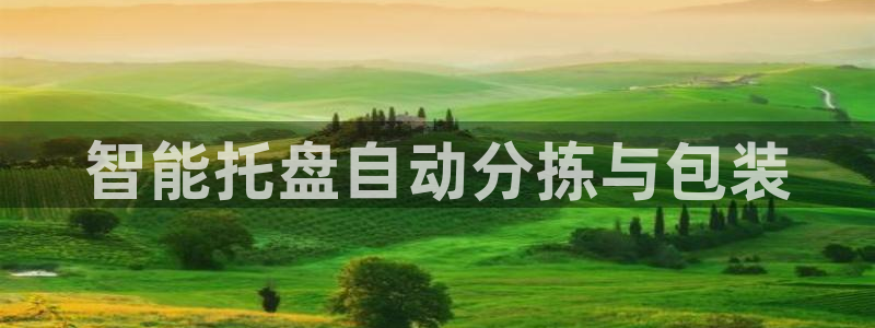 天宏娱乐梁善良