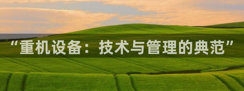 天宏娱乐 直播间怎么进：“重机设备：技术与管理的典范”