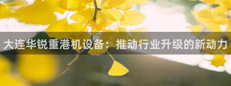 天宏娱乐最新更新：大连华锐重港机设备：推动行业升级的新动力
