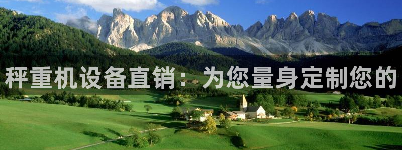 天宏娱乐app平台怎么下载：秤重机设备直销：为您量身定制您的