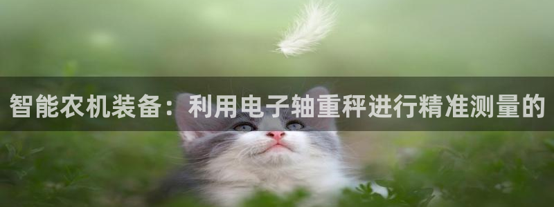 天宏娱乐丨金手指17