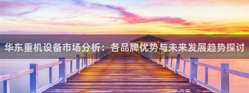 天宏3娱乐：华东重机设备市场分析：各品牌优势与未来发展趋势探