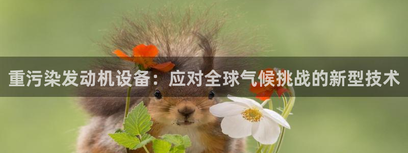天宏娱乐男神