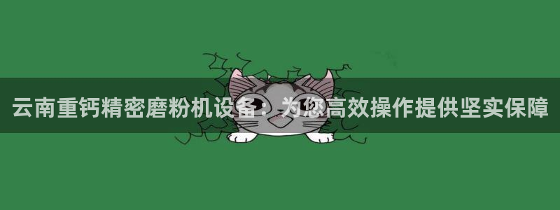 天宏娱乐金大叔：云南重钙精密磨粉机设备：为您高效操作提供坚实