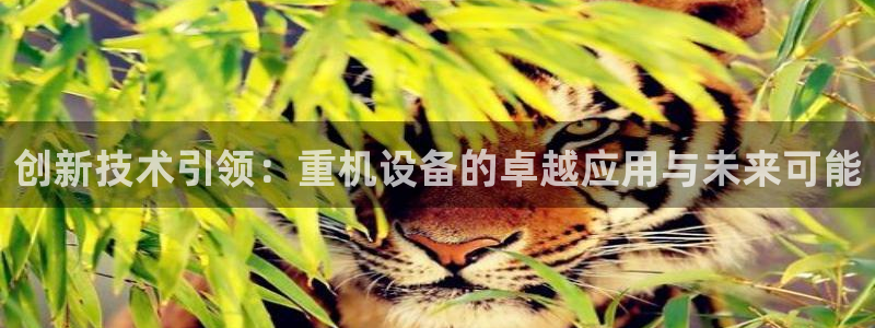 天宏娱乐总店电话地址：创新技术引领：重机设备的卓越应用与未来