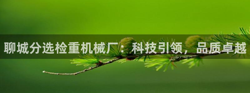 天宏娱乐总店电话号码：聊城分选检重机械厂：科技引领，品质卓越