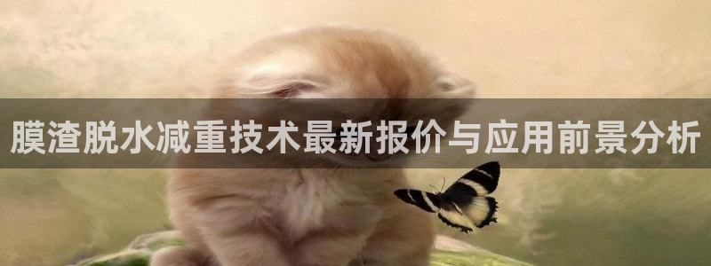 天宏娱乐湖北：膜渣脱水减重技术最新报价与应用前景分析