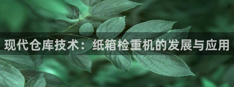 天宏娱乐小号官网入口：现代仓库技术：纸箱检重机的发展与应用