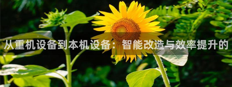 天宏娱乐直播在线观看：从重机设备到本机设备：智能改造与效率提