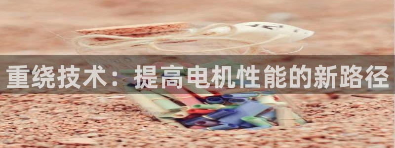 天宏娱乐登录网址：重绕技术：提高电机性能的新路径