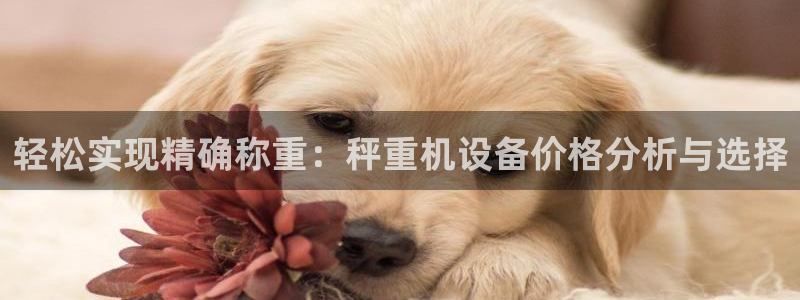 天亿娱乐宏发