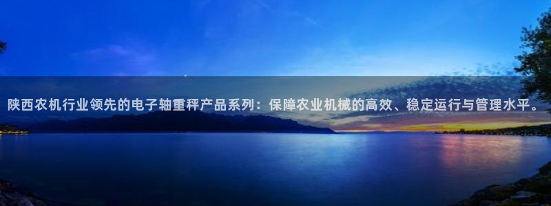 天宏娱乐可靠吗：陕西农机行业领先的电子轴重秤产品系列：保障农