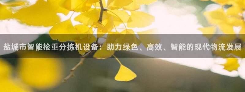 义宏娱乐林天毅：盐城市智能检重分拣机设备：助力绿色、高效、智