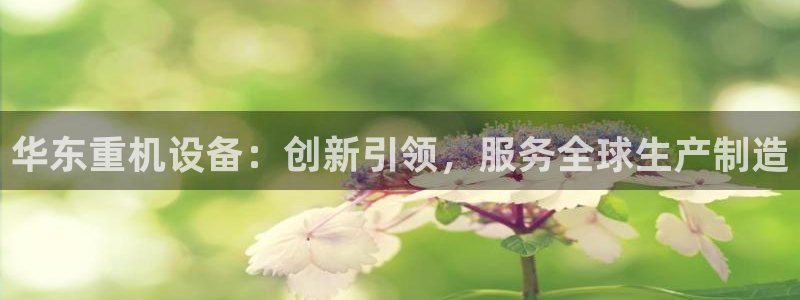 天宏娱乐实f力803466：华东重机设备：创新引领，服务全球