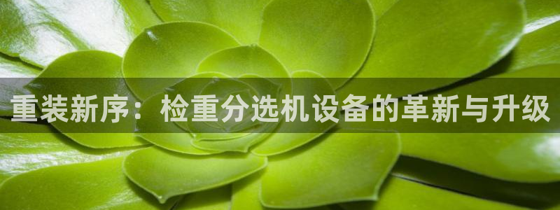 天宏娱乐总店：重装新序：检重分选机设备的革新与升级