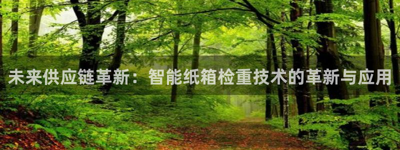 天宏娱乐平台稳么：未来供应链革新：智能纸箱检重技术的革新与应