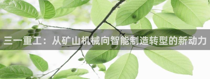 天宏娱乐倒闭了吗最近：三一重工：从矿山机械向智能制造转型的新